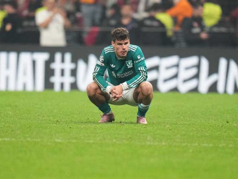 Search image article