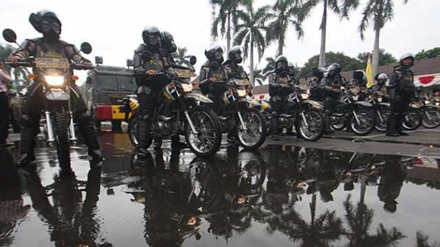 Search image article