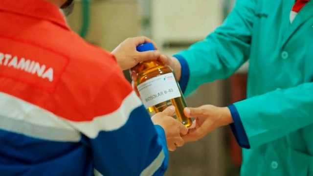 Search image article