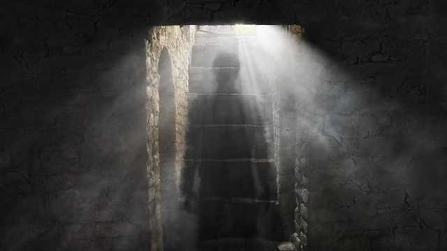 Search image article