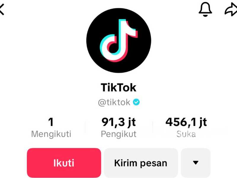 Search image article