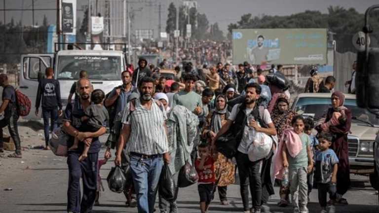 Search image article