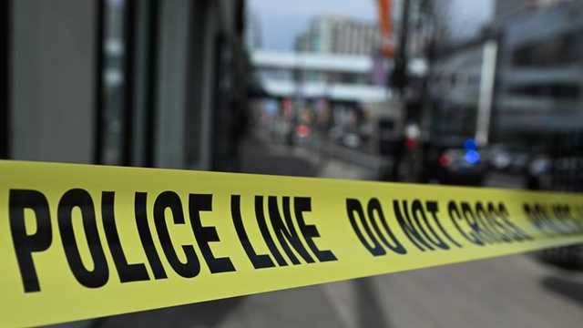 Search image article