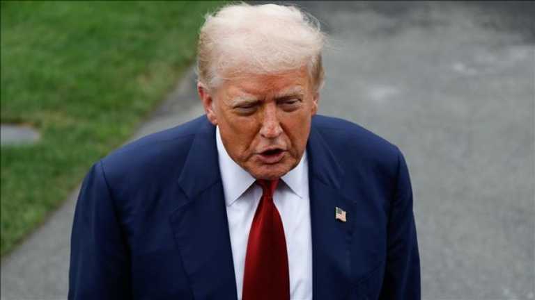 Search image article