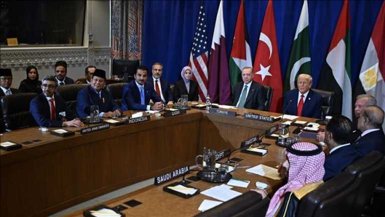 Search image article