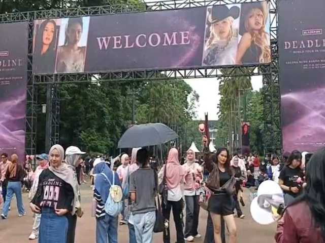 Search image article