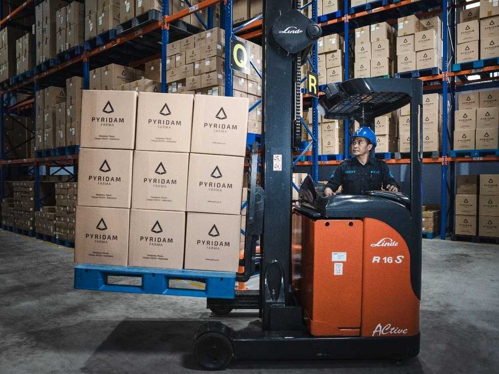 Search image article