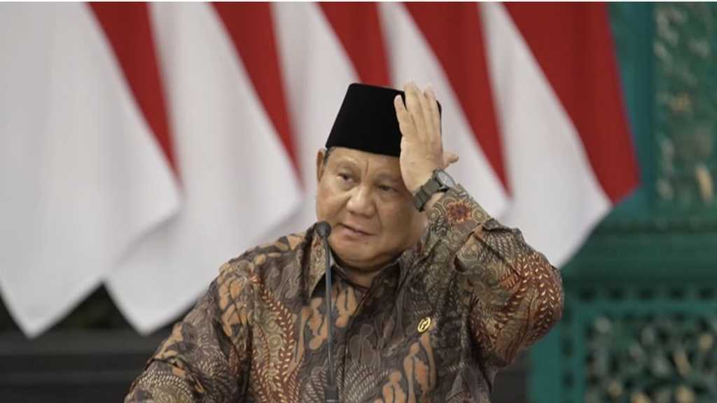 Search image article