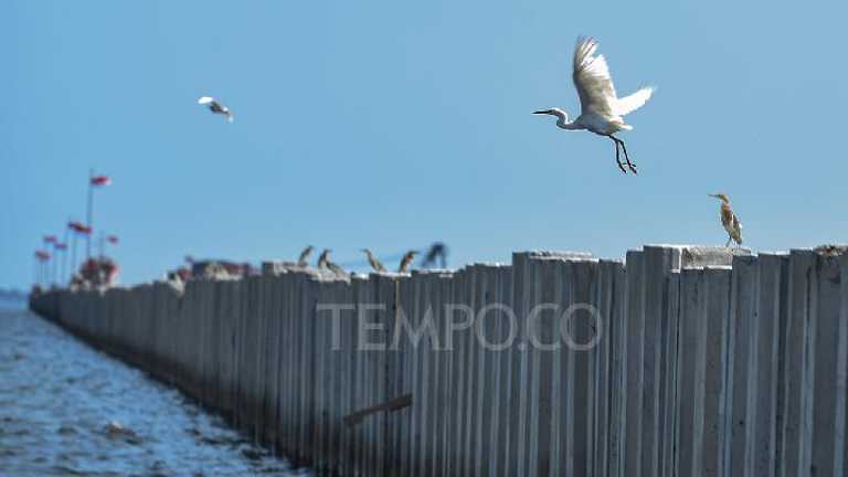 Search image article