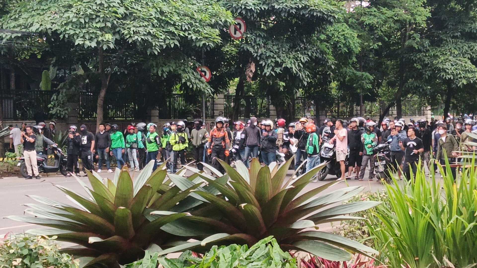 Search image article