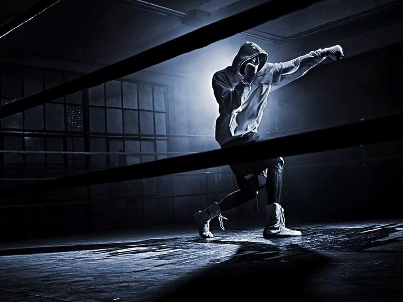 Search image article