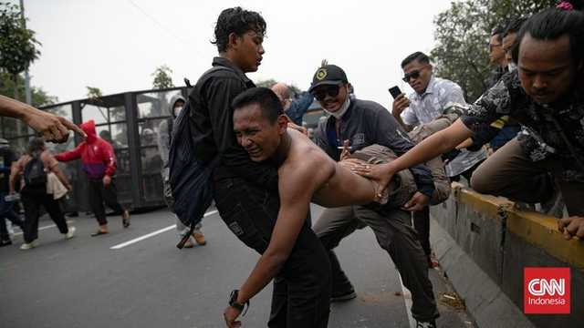 Search image article