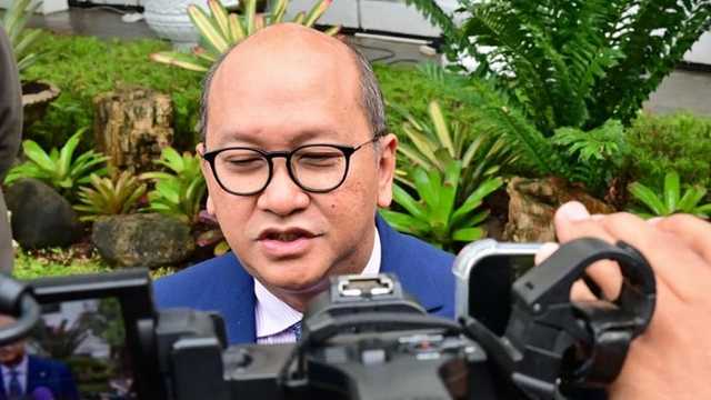 Search image article