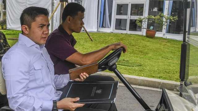 Search image article