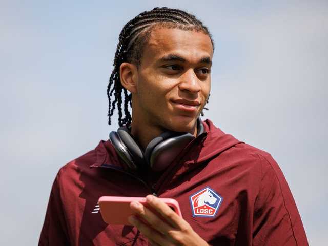 Search image article