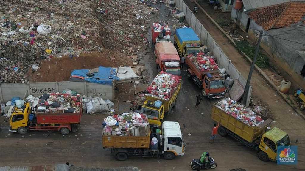 Search image article