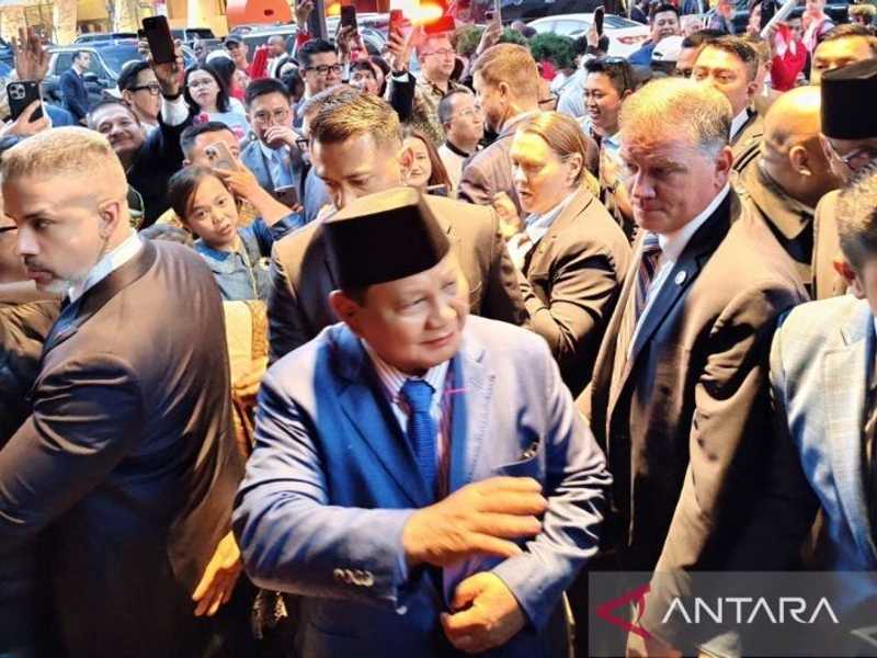 Search image article