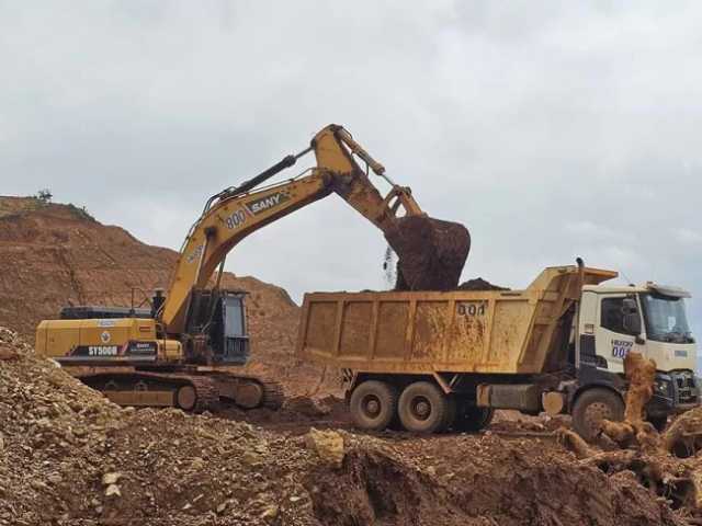 Search image article