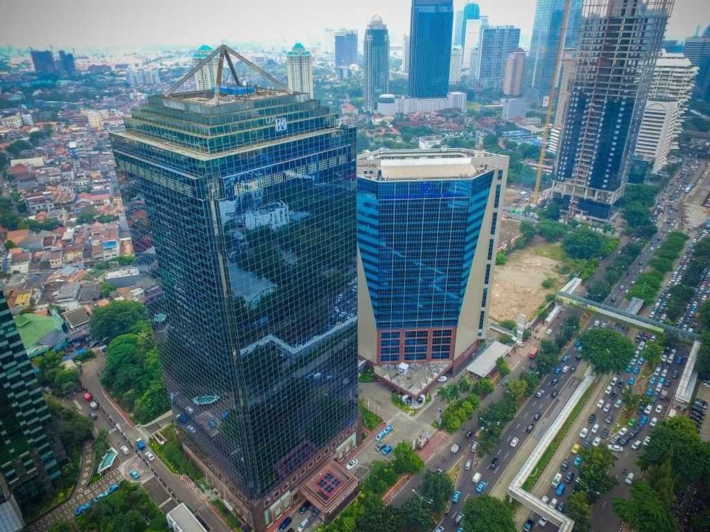 Search image article