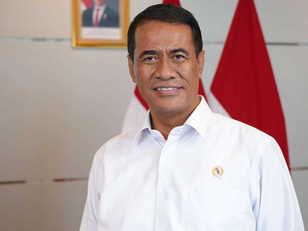 Search image article