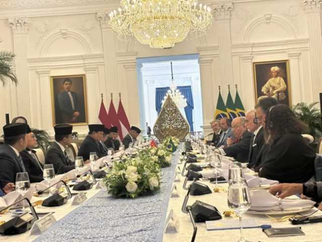 Search image article