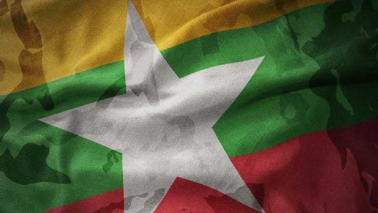 Search image article