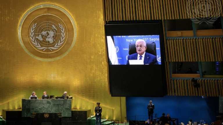 Search image article