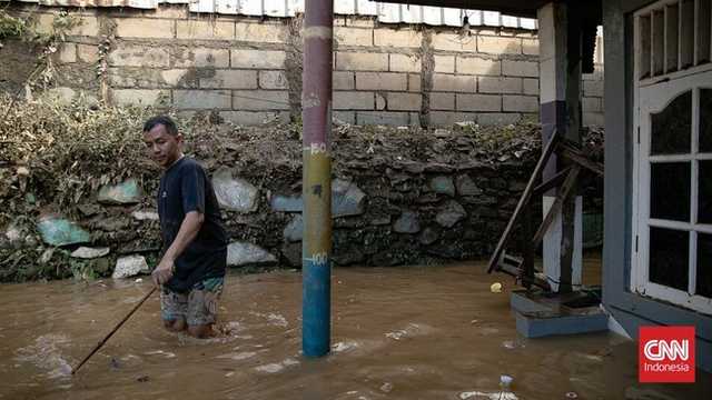 Search image article