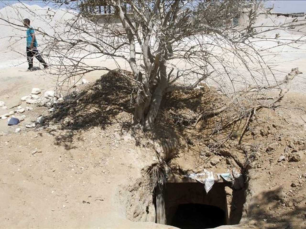 Search image article