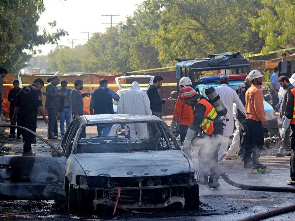 Search image article