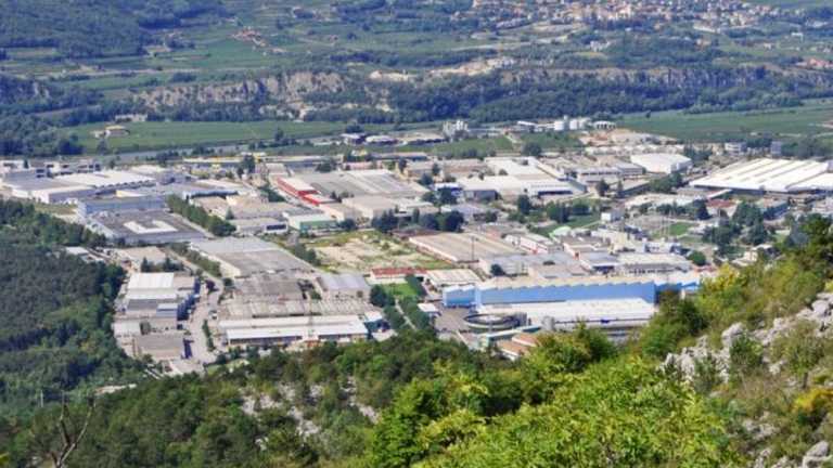 Search image article