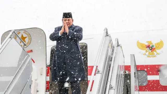 Search image article