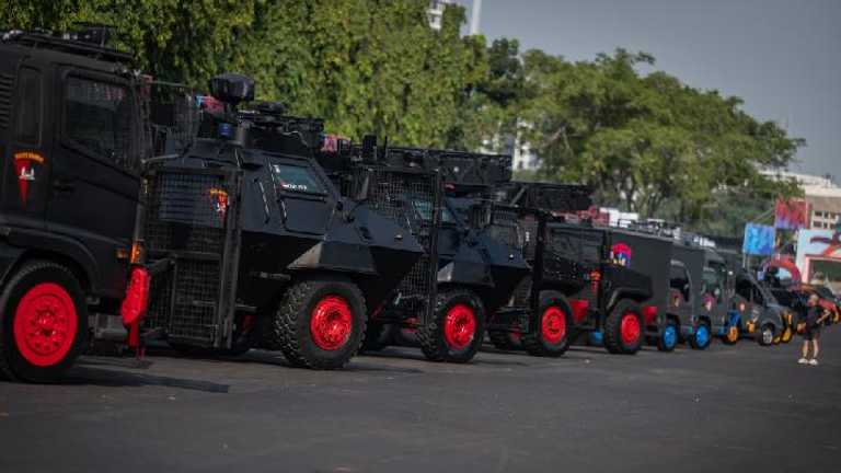 Search image article