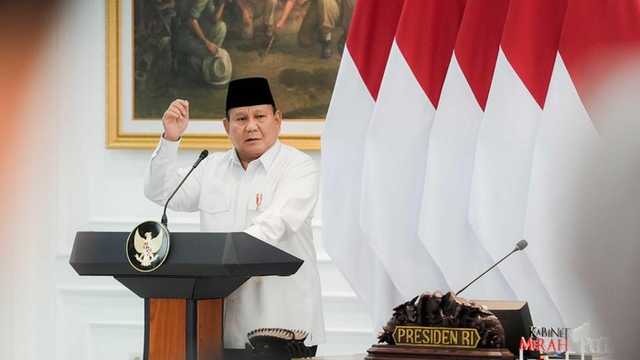 Search image article