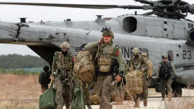 Search image article