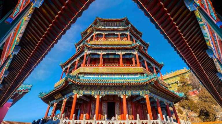 Search image article