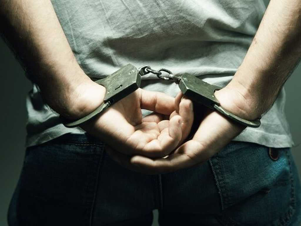 Search image article