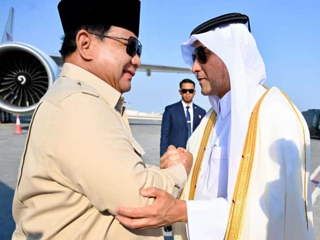 Search image article