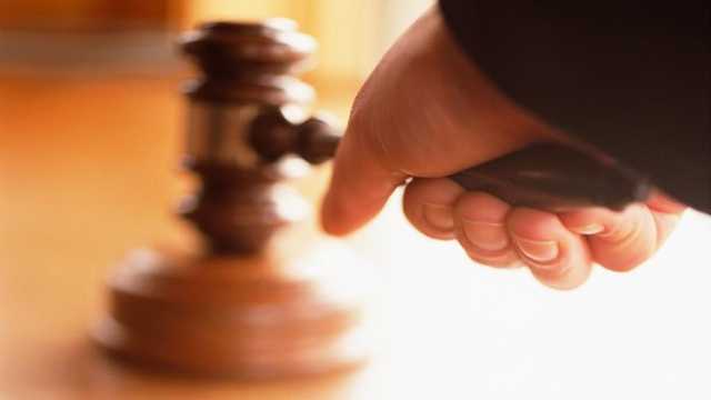 Search image article