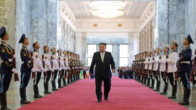 Search image article