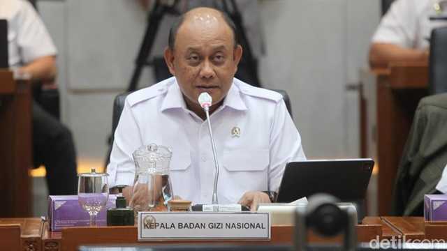 Badan Gizi Nasional: Program Makan Bergizi Gratis serap 600 ribu tenaga kerja