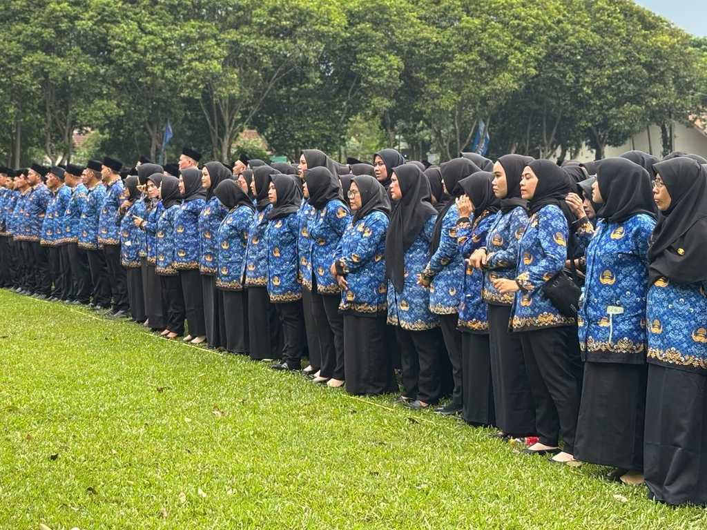 PPPK Paruh Waktu: Gaji minimal setara honorer, peluang baru non-ASN