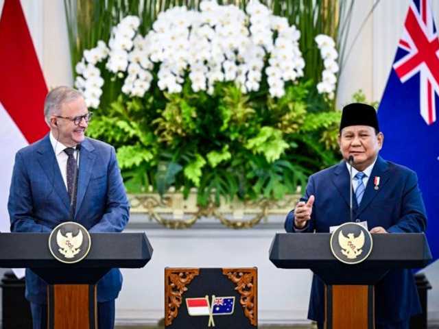 Search image article