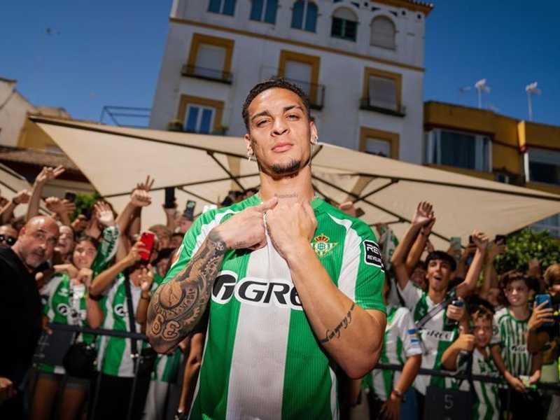 Search image article