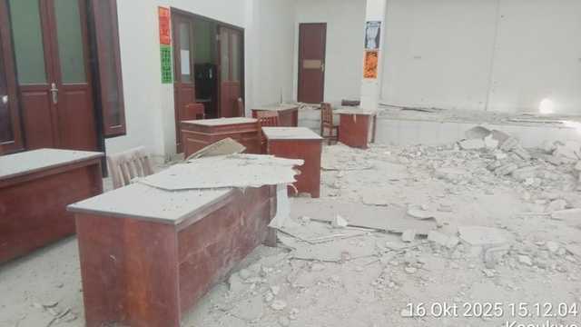 Search image article