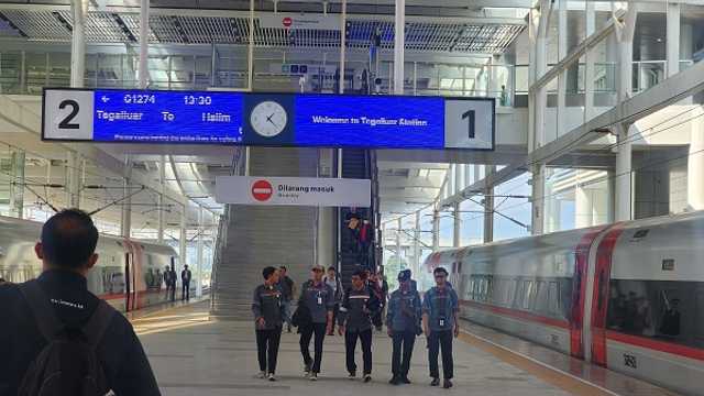 Search image article