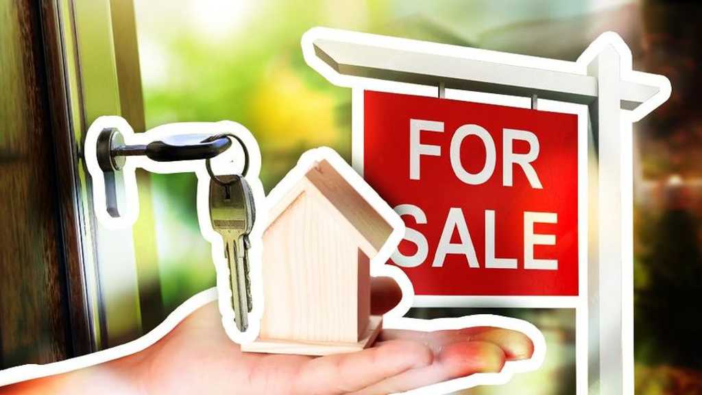 Search image article