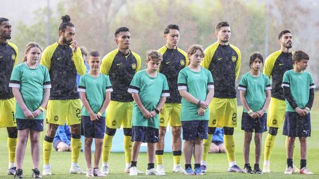 Search image article