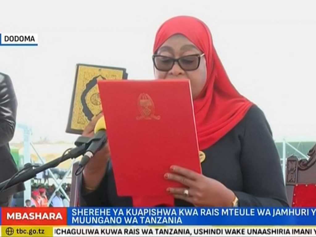 Search image article