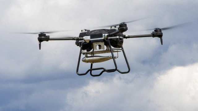 Search image article